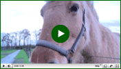 Video afbeelding Meeshoeve